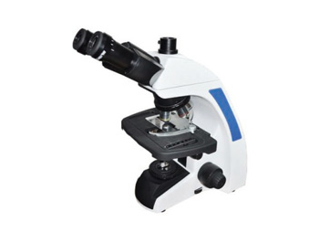 1647486934924377.png 1647486934924377.png